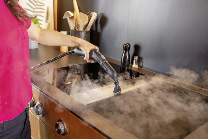 SC 4 Deluxe Iron - Slika 3