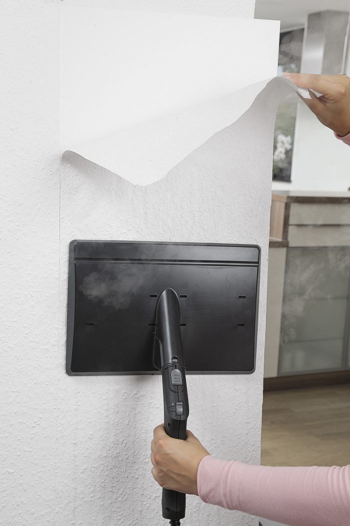 Odstranjivač tapeta - Slika 2